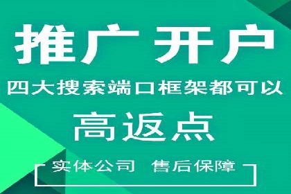 案例研究：如何通过竞价广告实现精准营销